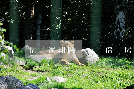 房貸逾期后會還雙倍嗎(房貸還款兩次逾期算嚴重嗎)