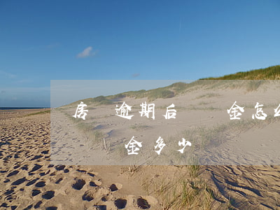 房貸逾期后滯納金怎么還(買房貸款超過時間滯納金多少)