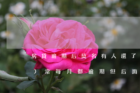 房貸逾期后莫名有人還了(房貸經(jīng)常每月都逾期但后面都還了會怎么樣)