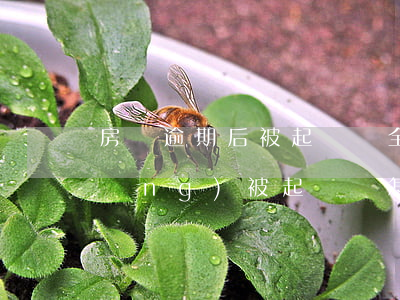 房貸逾期后被起訴還全款(房貸逾期已經(jīng)被起訴該怎么處理)