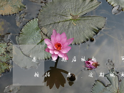 房貸逾期后被起訴還可以轉(zhuǎn)按揭嗎(房貸逾期被起訴還能申請(qǐng)按月還款嗎)