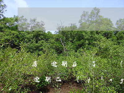 房貸逾期后還了還會(huì)訴訟嗎(房貸逾期已經(jīng)還了還會(huì)被起訴嗎)