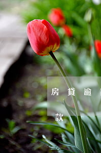 房貸逾期后還可以貸款不(逾期買房子還能貸款)
