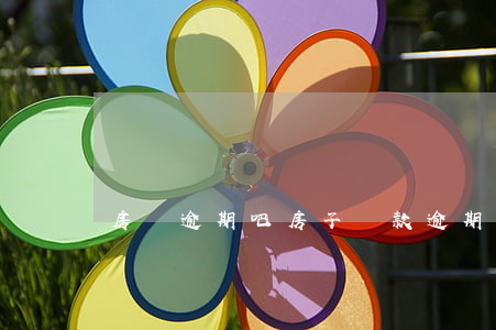 房貸逾期吧，房子貸款逾期了