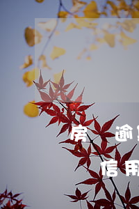房貸逾期和信用卡逾期性質(zhì)一樣嗎（信用卡逾期小金額影響房貸嗎）
