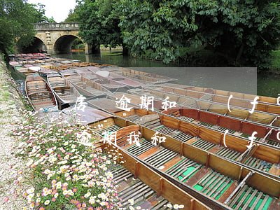 房貸逾期和開發(fā)商一起被起訴(房貸逾期我和開發(fā)商被起訴)
