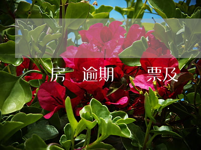 房貸逾期唄傳票及時補繳(房貸逾期唄傳票及時補繳)