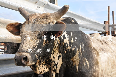 房貸逾期嚴(yán)重缺錢怎么辦(房子貸款逾期)