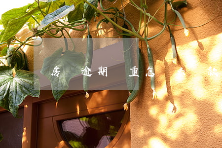 房貸逾期嚴重怎樣去貸款(房貸逾期怎么辦)
