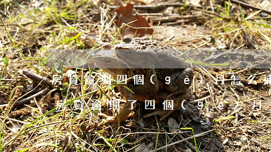 房貸逾期四個(gè)月怎么補(bǔ)救(房貸逾期了四個(gè)月多了,該怎么還?)