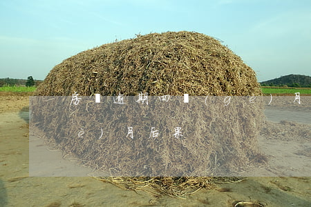 房貸逾期四個(gè)月(房貸逾期四個(gè)月后果)