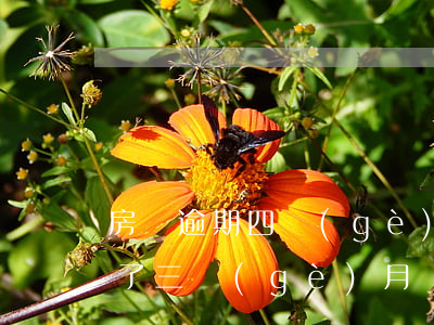 房貸逾期四個(gè)月提前收回(房貸逾期了三個(gè)月還能賣房嗎)