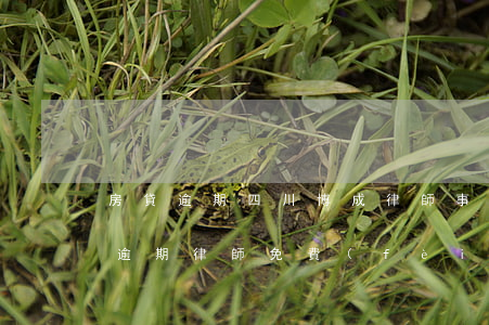 房貸逾期四川博成律師事務(wù)所(房貸逾期律師免費(fèi)咨詢)