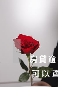 房貸逾期在哪里可以查詢(網(wǎng)上可以查詢房貸進(jìn)度嗎)