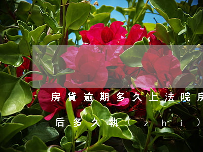 房貸逾期多久上法院(房貸逾期被起訴了判決后多久執(zhí)行)