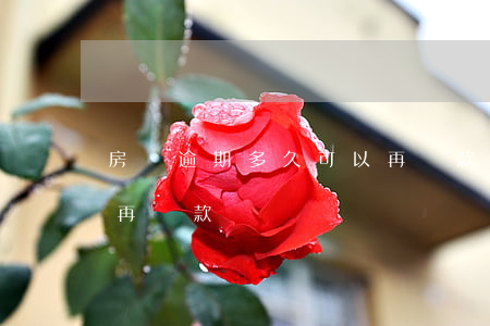 房貸逾期多久可以再貸款(房貸逾期多久可以再貸款)