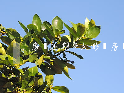 房貸逾期多久影響(房貸逾期多久影響)