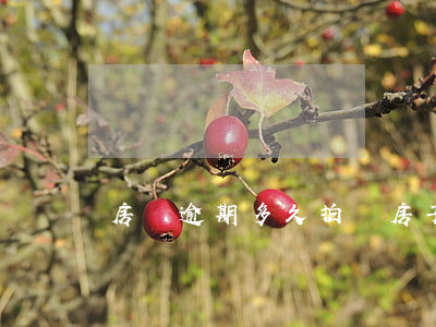 房貸逾期多久拍賣房子