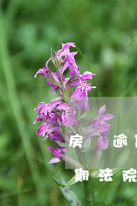 房貸逾期多久會(huì)拍賣房子(房貸逾期法院執(zhí)行了啥時(shí)候拍賣房子)