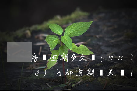 房貸逾期多久會(huì)次(房貸每個(gè)月都逾期幾天會(huì)有什么后果)