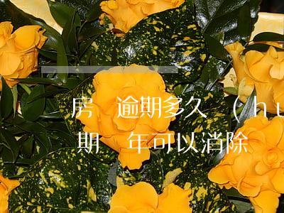 房貸逾期多久會(huì)終止貸款(房貸逾期幾年可以消除)
