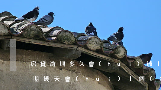 房貸逾期多久會(huì)被上征信(房貸逾期幾天會(huì)上個(gè)人征信)