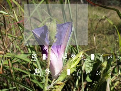 房貸逾期多久會(huì)解除合同(房貸逾期多久會(huì)被起訴的解決辦法)