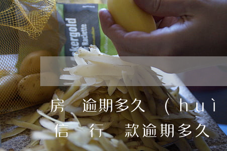 房貸逾期多久會(huì)計(jì)入征信(銀行貸款逾期多久會(huì)上征信)