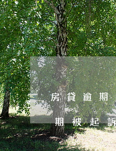 房貸逾期多久法院會(huì)查封(房貸逾期被起訴多久查封房子)