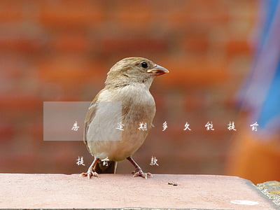 房貸逾期多久能提前還款(房貸還滿多久可以提前還款)