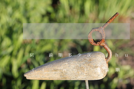 房貸逾期多少次會(huì)被沒收(房貸經(jīng)常逾期會(huì)收回貸款嗎)