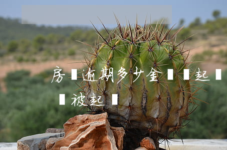 房貸逾期多少金額會起訴(貸款逾期金額多大會被起訴)