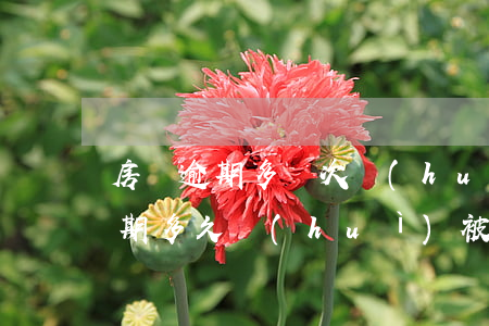 房貸逾期多幾次會(huì)被起訴(房貸逾期多久會(huì)被起訴的解決辦法)