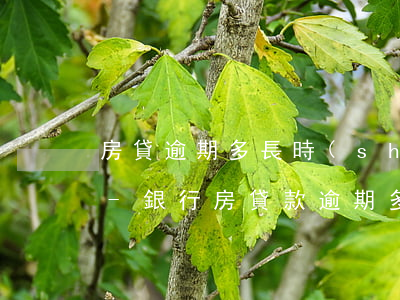 房貸逾期多長時(shí)間被銀行起訴了-銀行房貸款逾期多久會(huì)被起訴