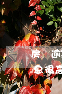 房貸逾期太久罰息太高了能減免嗎(逾期了罰息很高怎么辦)