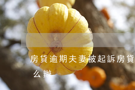 房貸逾期夫妻被起訴(房貸逾期被法院起訴怎么辦)