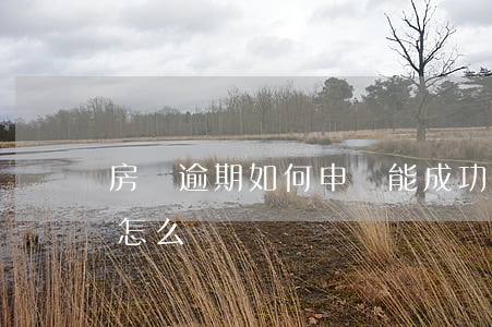 房貸逾期如何申訴能成功(房貸逾期銀行起訴怎么辦)
