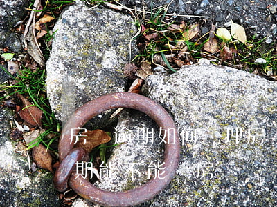 房貸逾期如何辦理房產(chǎn)證(有逾期能不能辦房貸)