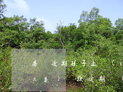 房貸逾期孩子上學(xué)(家長(zhǎng)貸款逾期會(huì)不會(huì)影響孩子上學(xué))