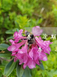 房貸逾期對(duì)個(gè)人什么影響(房貸逾期對(duì)個(gè)人什么影響)