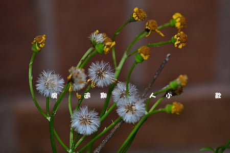 房貸逾期對個人小額貸款