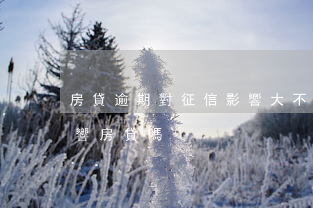 房貸逾期對征信影響大不(征信有一個逾期影響房貸嗎)