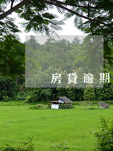房貸逾期少幾百簽保證書(貸款逾期保證書)