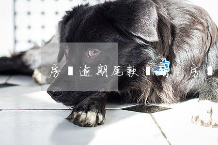 房貸逾期尾款結清-房貸逾期尾款結清