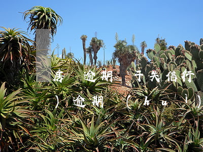 房貸逾期屬于失信行為嗎(貸款有過(guò)逾期會(huì)影響房貸么)