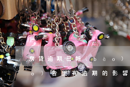 房貸逾期已報(bào)征信(征信報(bào)告里有逾期的影響貸款嗎)