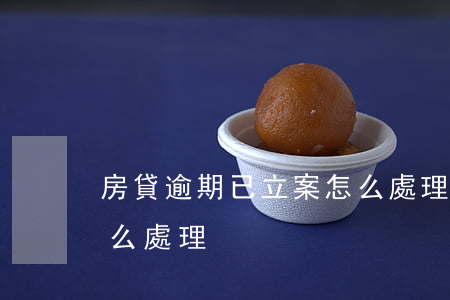 房貸逾期已立案怎么處理(房貸逾期已立案怎么處理)
