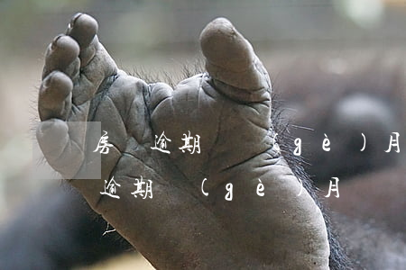 房貸逾期幾個(gè)月了怎么辦（妻子房貸逾期個(gè)月）