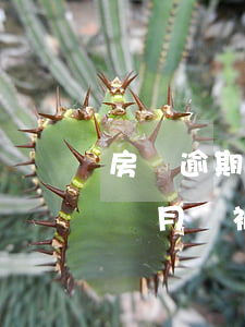 房貸逾期幾個月銀行會起訴(銀行貸款逾期幾個月會被起訴了)