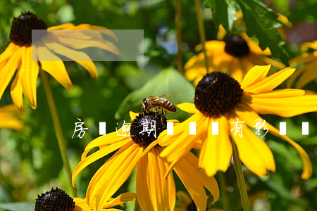 房貸逾期幾塊錢有影響嗎(房貸能逾期么)